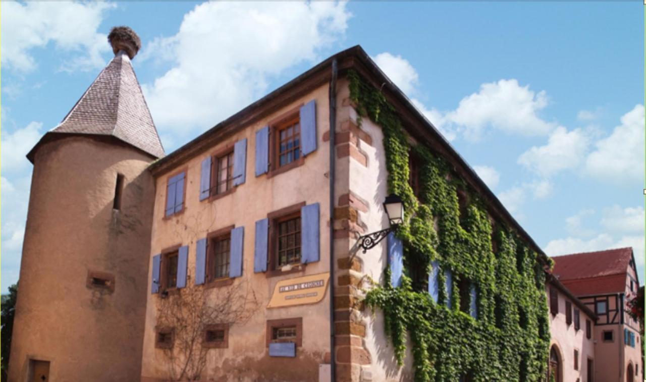 Appartamento Au Nid De Cigogne Zellenberg Esterno foto