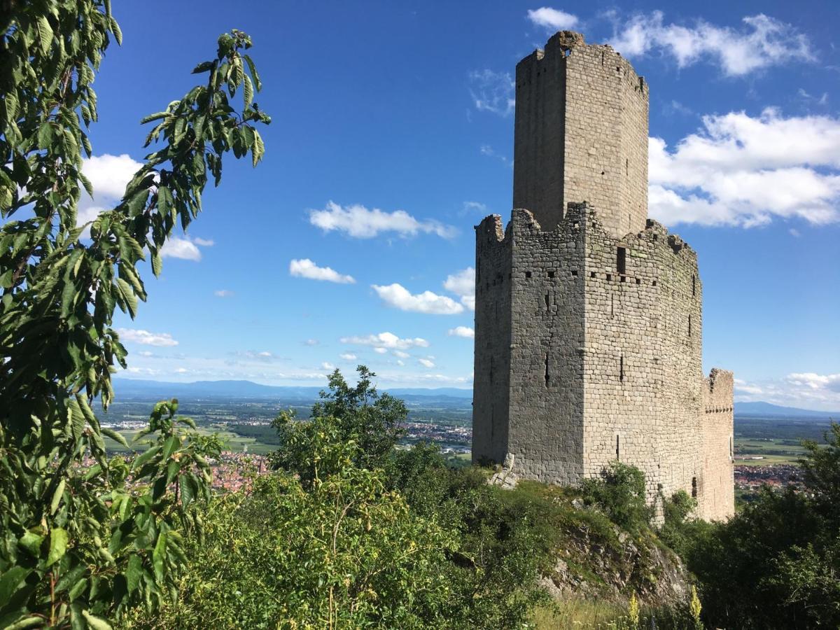 Appartamento Au Nid De Cigogne Zellenberg Esterno foto