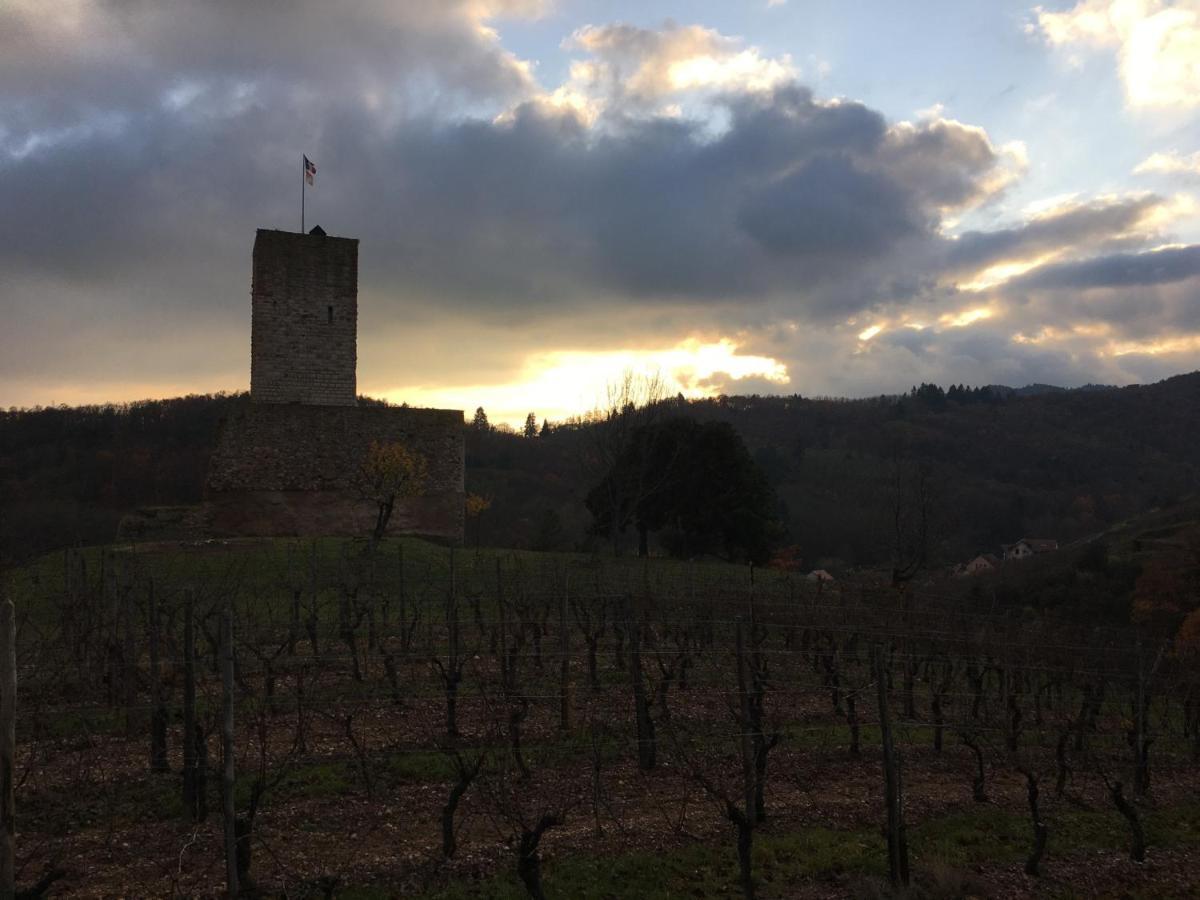 Appartamento Au Nid De Cigogne Zellenberg Esterno foto