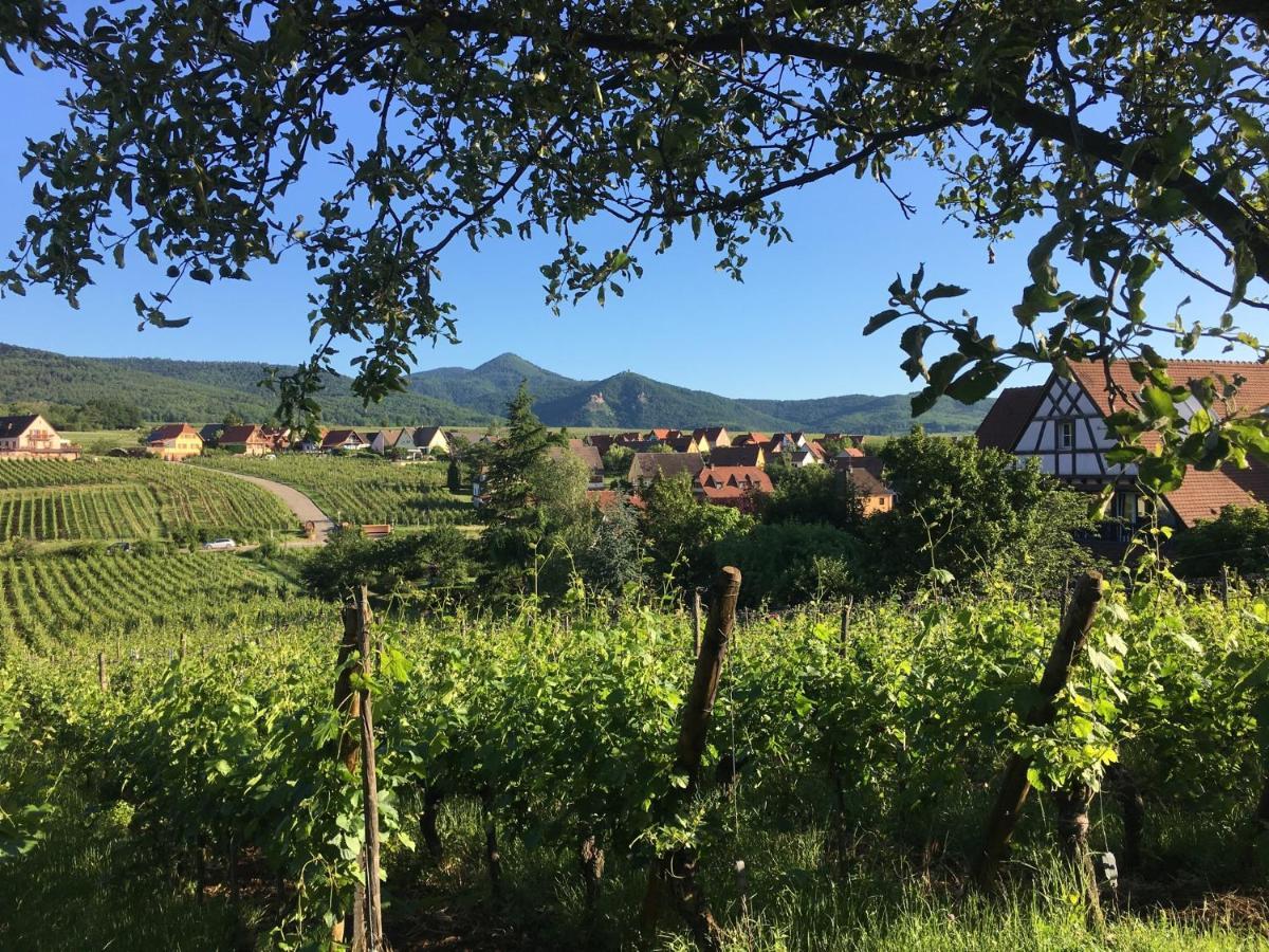Appartamento Au Nid De Cigogne Zellenberg Esterno foto