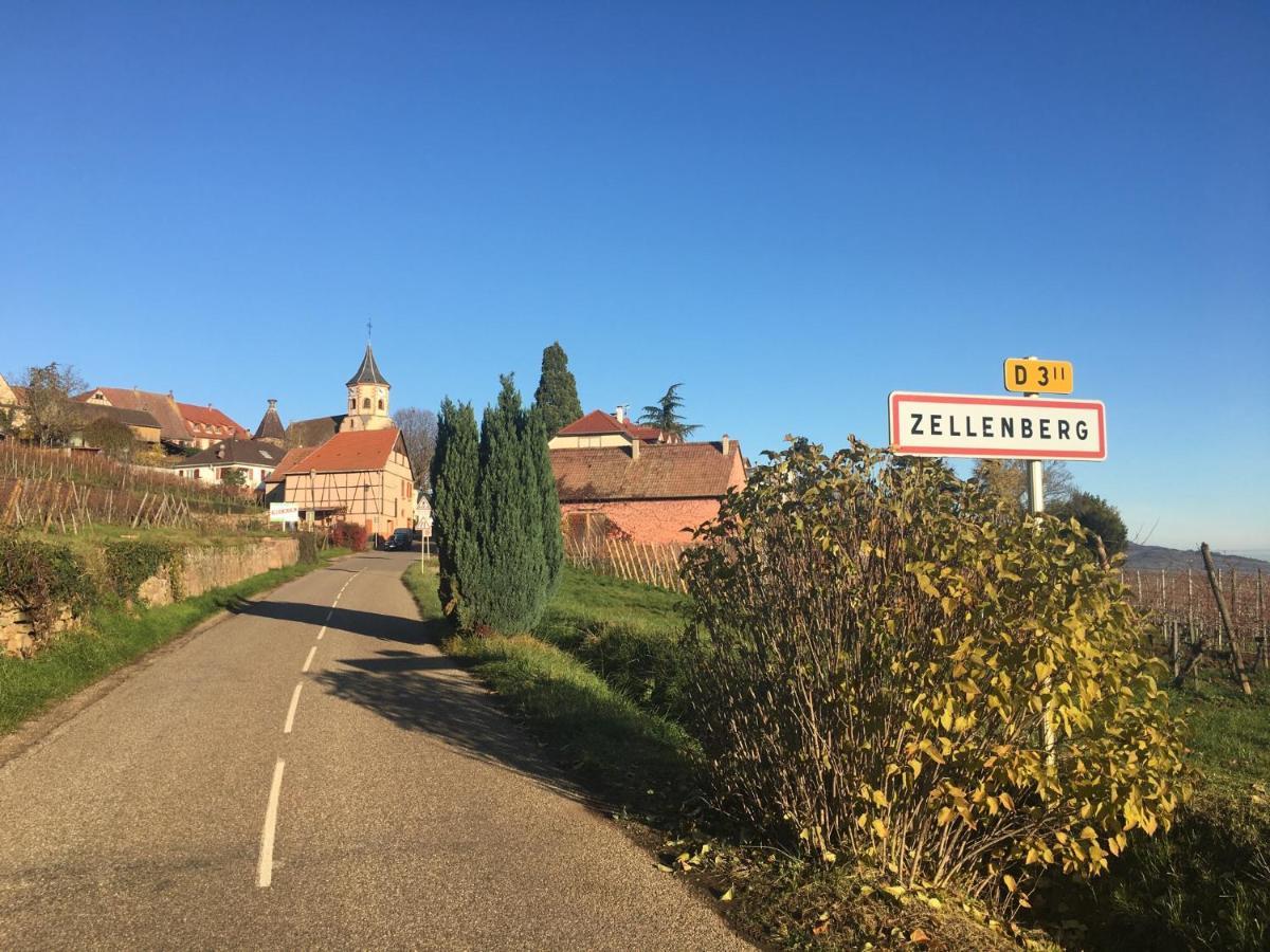 Appartamento Au Nid De Cigogne Zellenberg Esterno foto