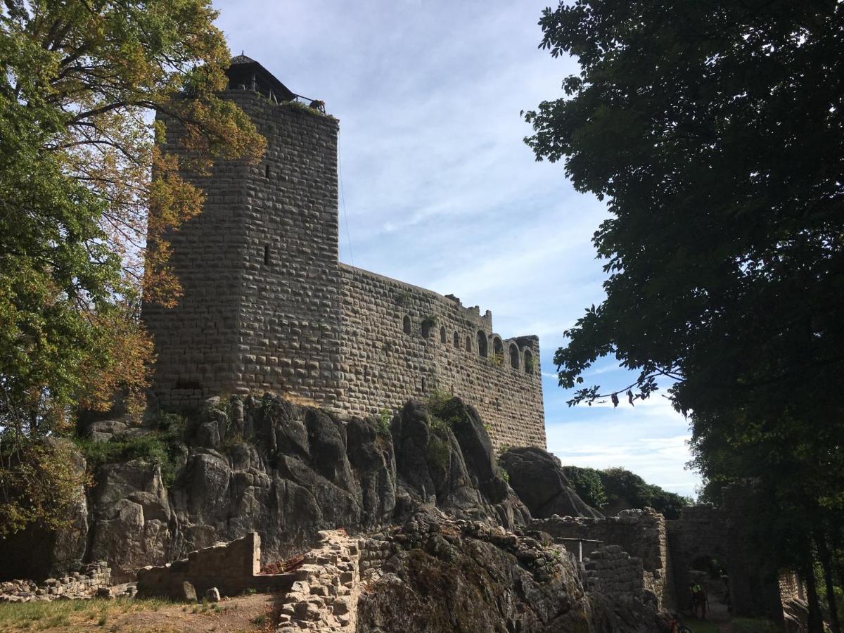 Appartamento Au Nid De Cigogne Zellenberg Esterno foto