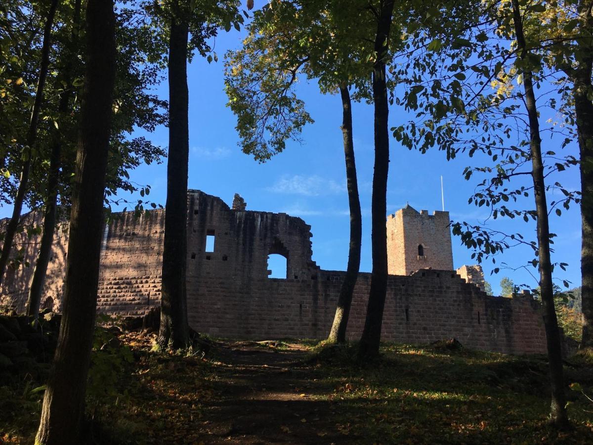 Appartamento Au Nid De Cigogne Zellenberg Esterno foto