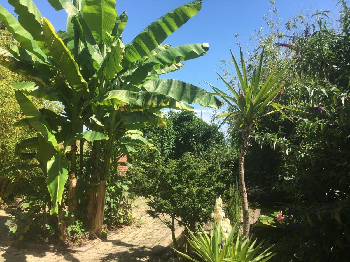 Appartamento Au Nid De Cigogne Zellenberg Esterno foto